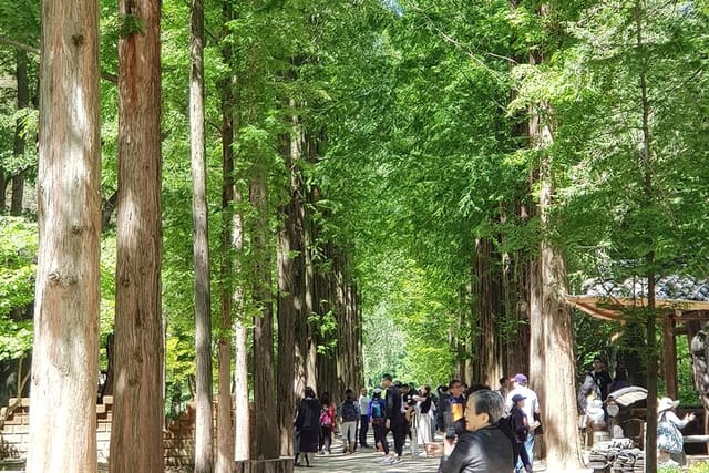 Nami Island 